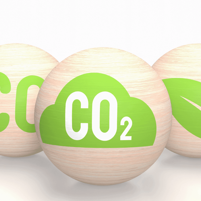 The Click That Costs the Planet: Why We Need to Greenify eCommerce - SHOP NO2CO2
