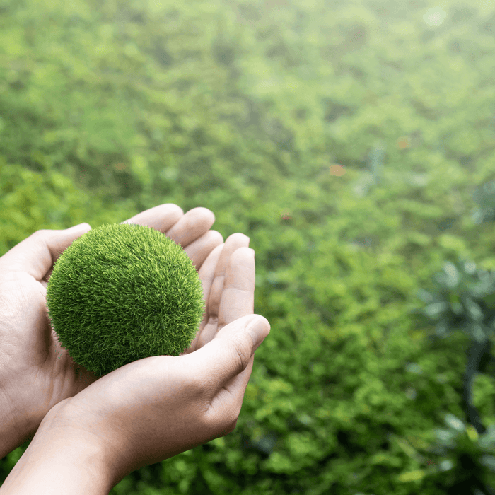 A Call for Revolution: Lowering Carbon Emissions in eCommerce - SHOP NO2CO2